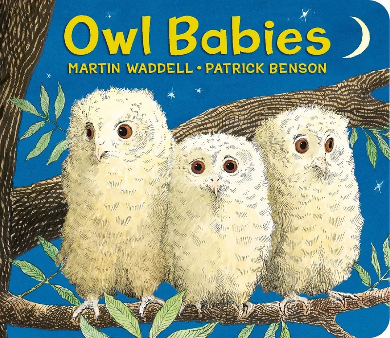 Owl Babies von Candlewick Press – Buchfoto