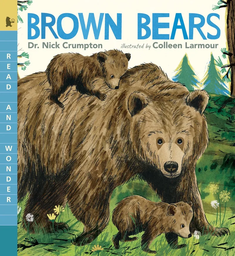 Read and Wonder- Brown Bears von Candlewick Press – Buchfoto