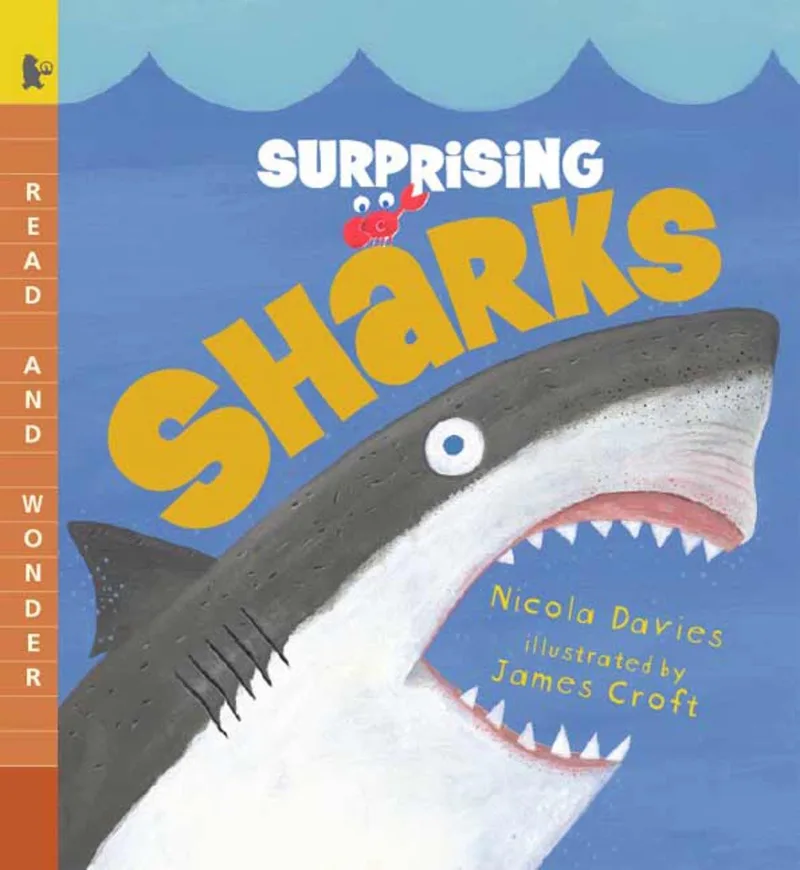 Surprising Sharks von Candlewick Press – Buchfoto