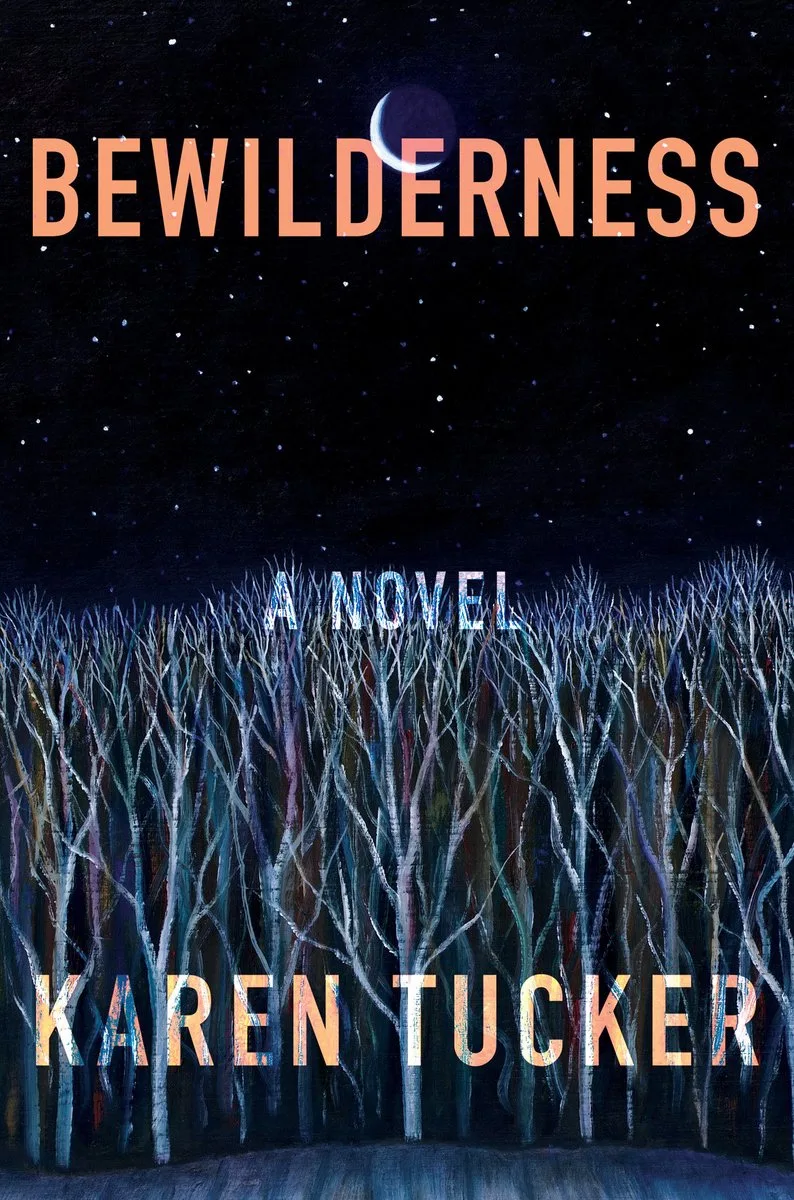 Bewilderness fra Catapult – billede af bogen