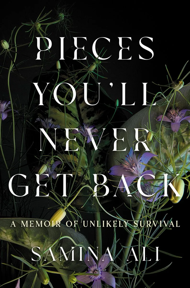 Pieces You'll Never Get Back von Catapult – Buchfoto