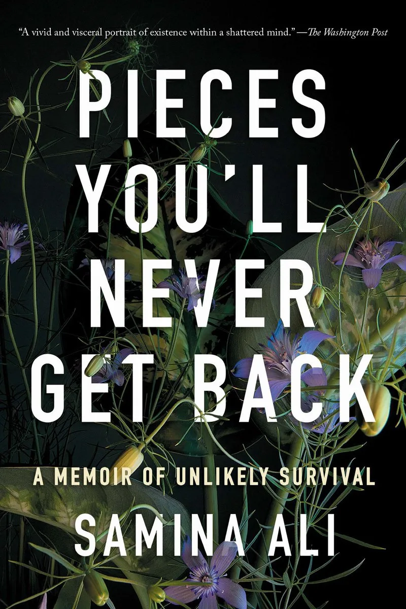 Pieces You'll Never Get Back van Catapult – boekfoto