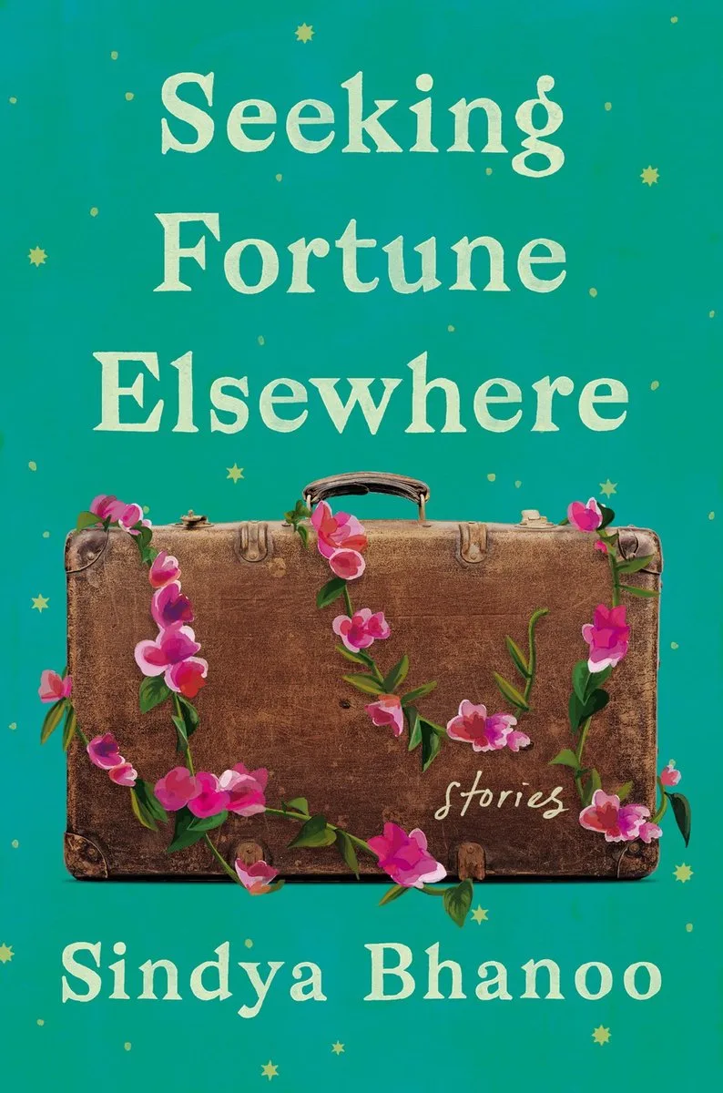 Seeking Fortune Elsewhere fra Catapult – billede af bogen