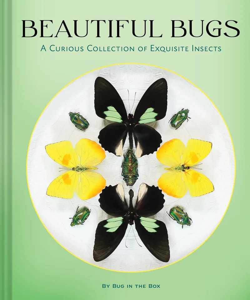 Beautiful Bugs fra Chronicle Books – billede af bogen