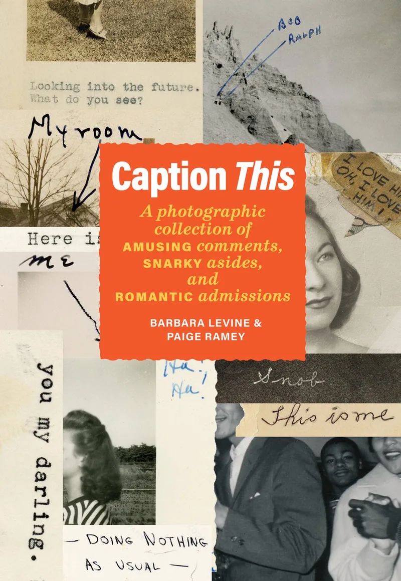 Caption This von Chronicle Books – Buchfoto