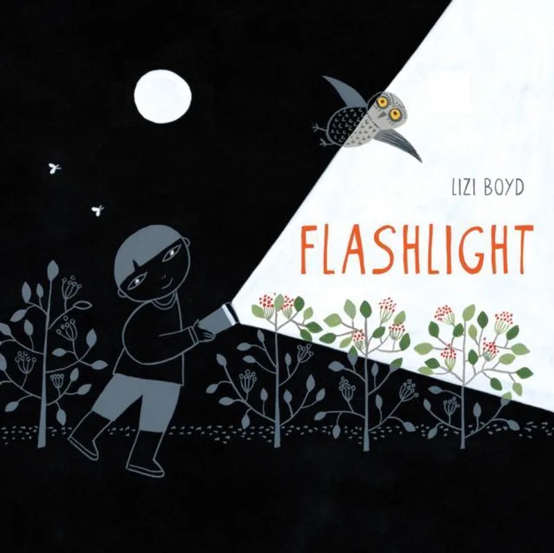 Flashlight fra Chronicle Books – billede af bogen