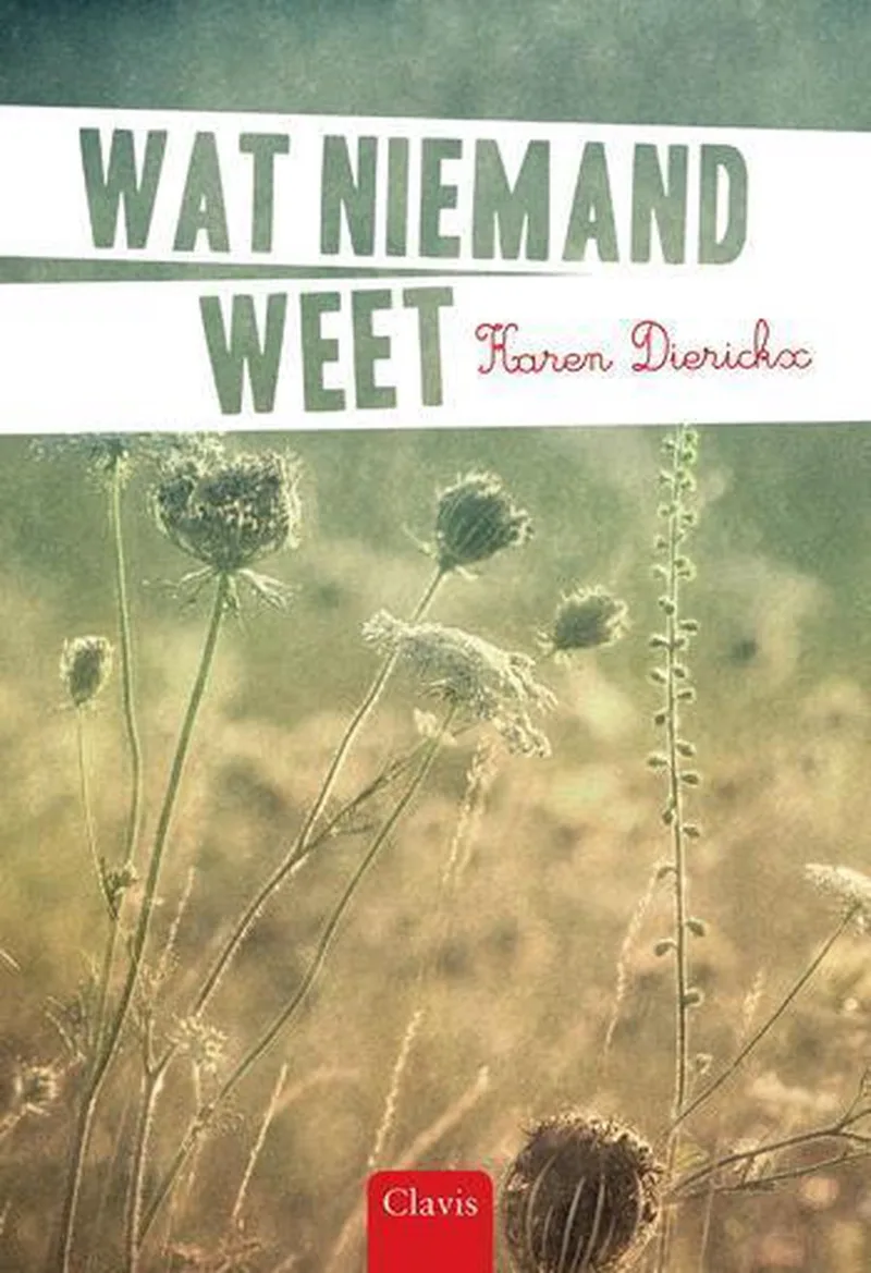 Wat niemand weet von Clavis – Buchfoto