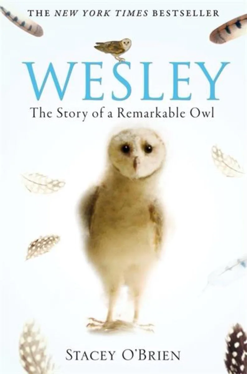 Wesley Remarkable Owl de Constable – photo du livre