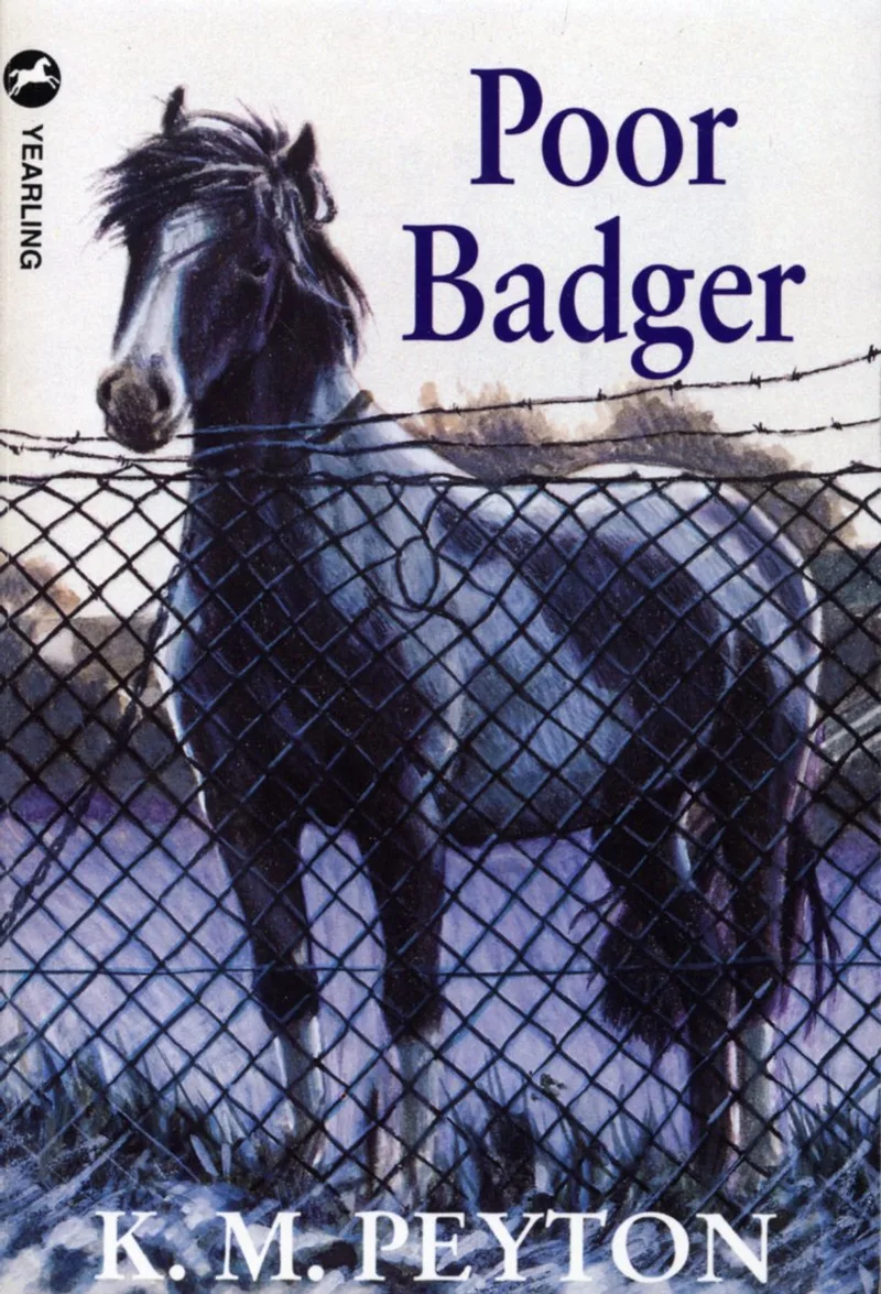 Poor Badger de Corgi – photo du livre