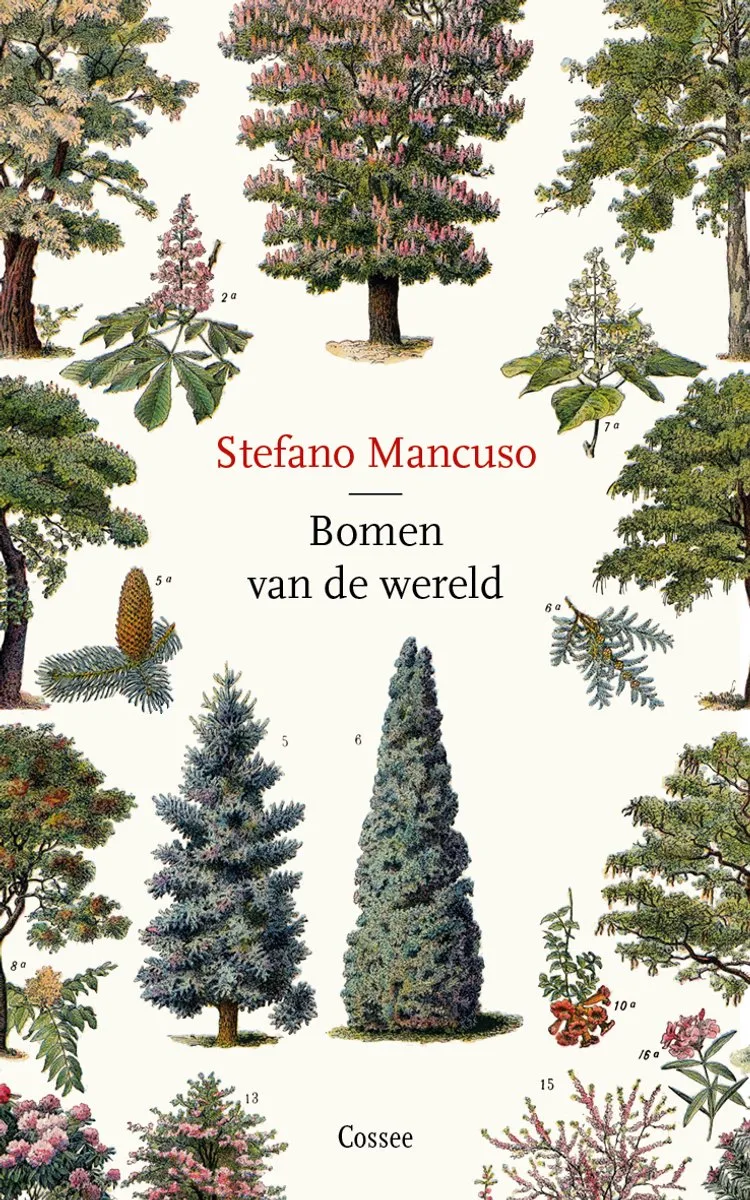 Bomen van de wereld fra Cossee – billede af bogen