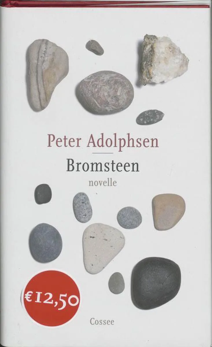 Bromsteen von Cossee – Buchfoto