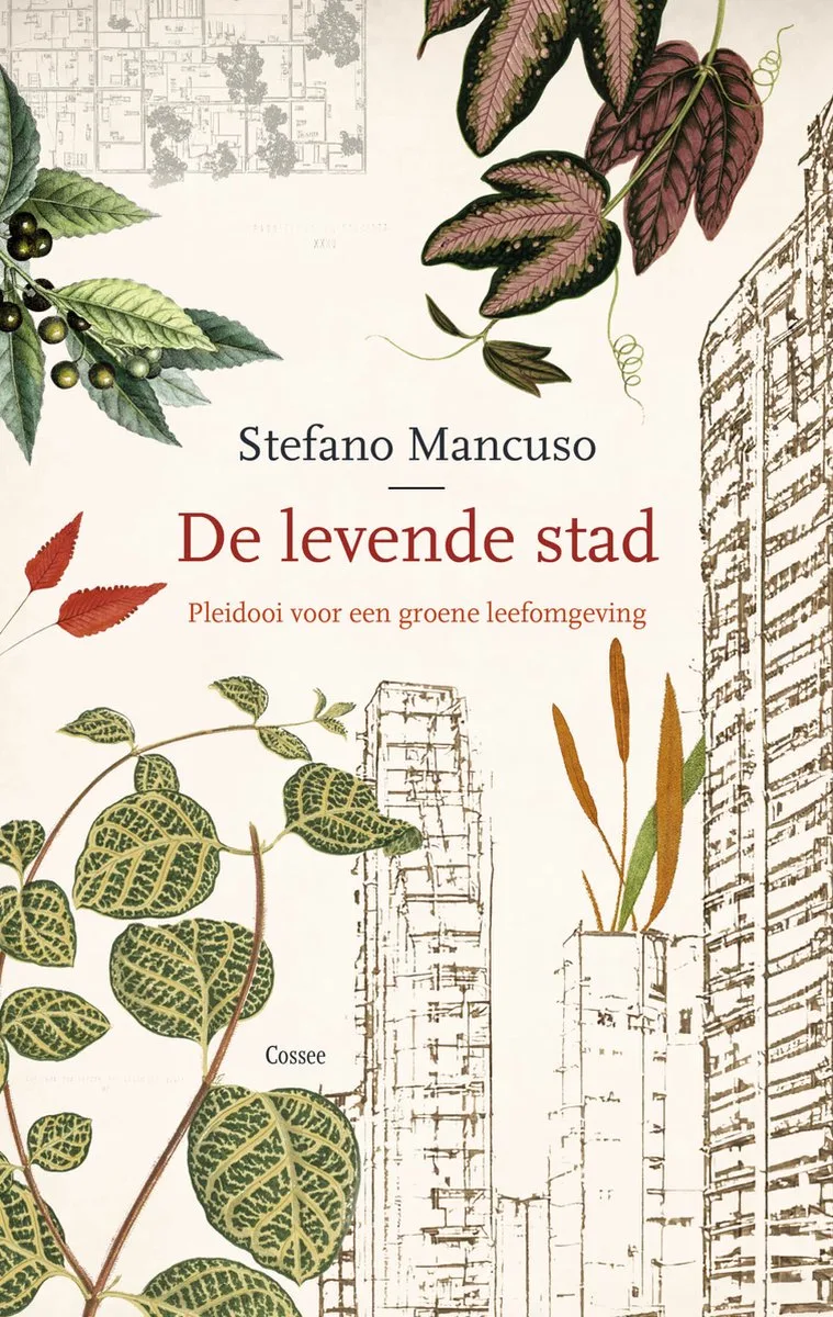 De levende stad de Cossee – photo du livre