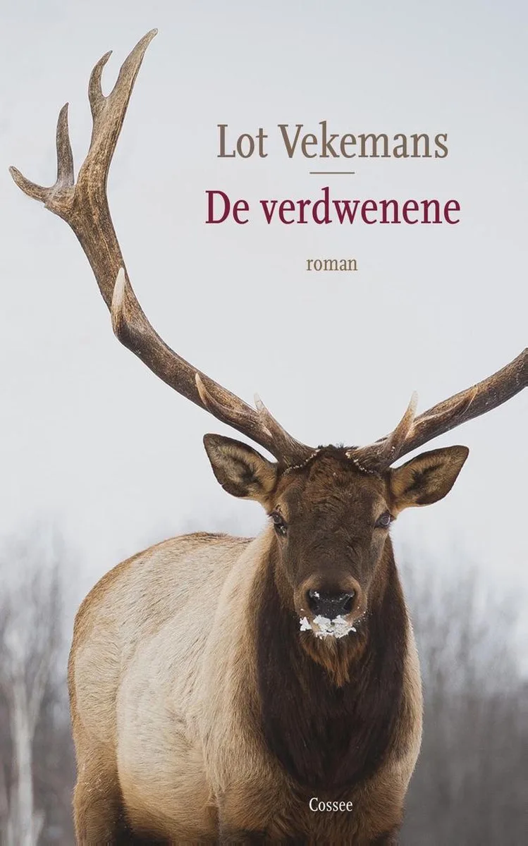 De verdwenene von Cossee – Buchfoto