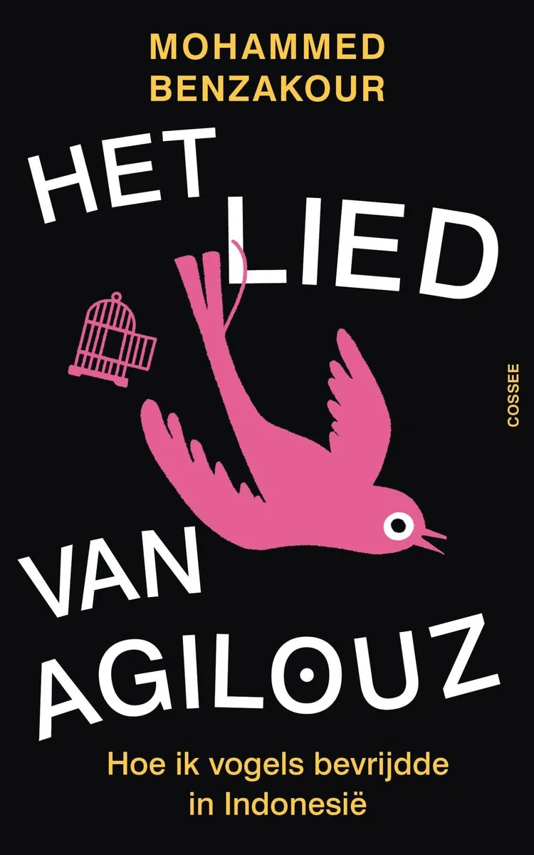 Het lied van Agilouz von Cossee – Buchfoto