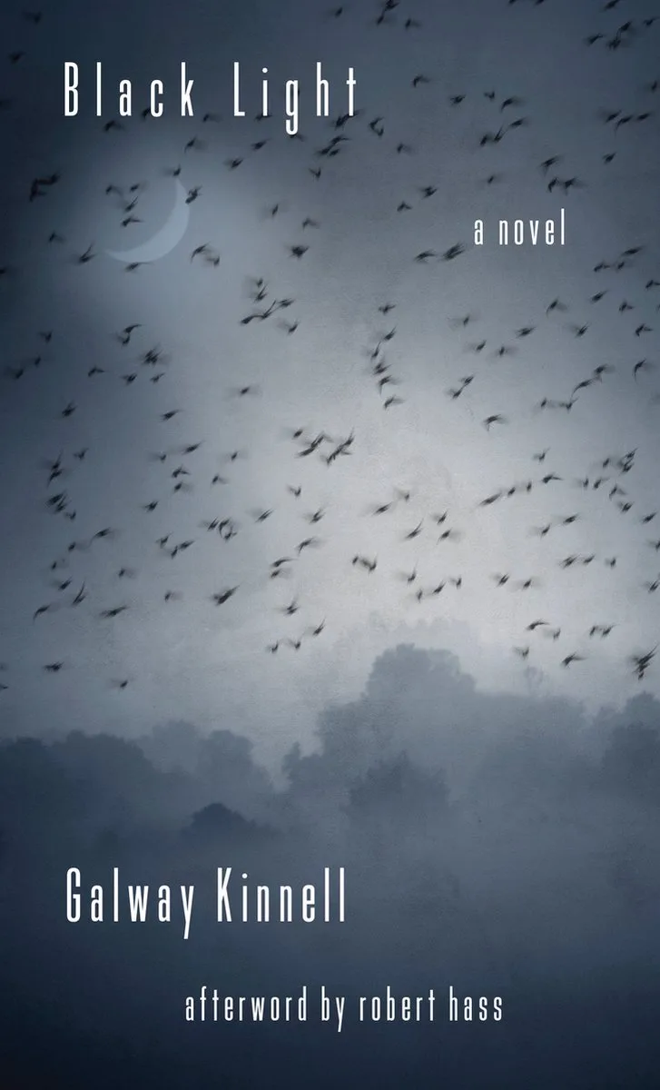 Black Light von Counterpoint – Buchfoto