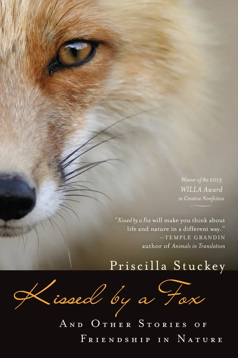 Kissed by a Fox von Counterpoint – Buchfoto