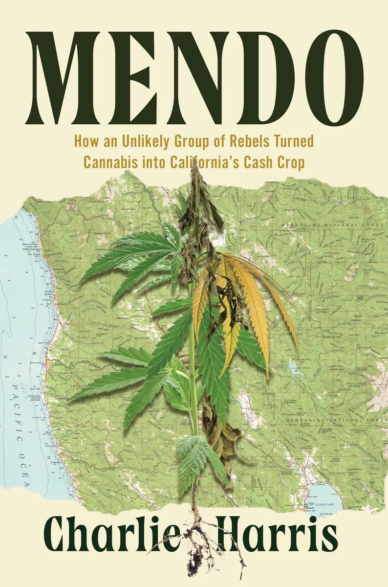 Mendo de Counterpoint – photo du livre