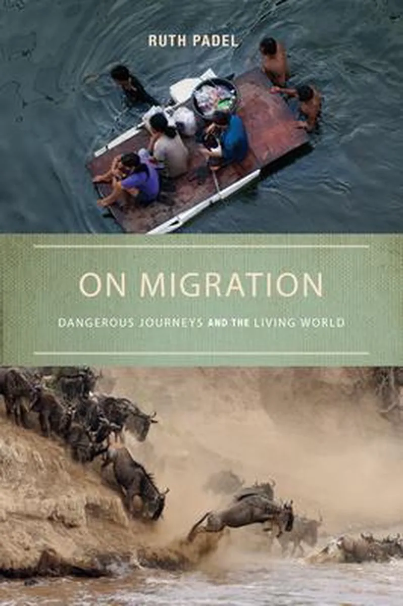 On Migration de Counterpoint – photo du livre