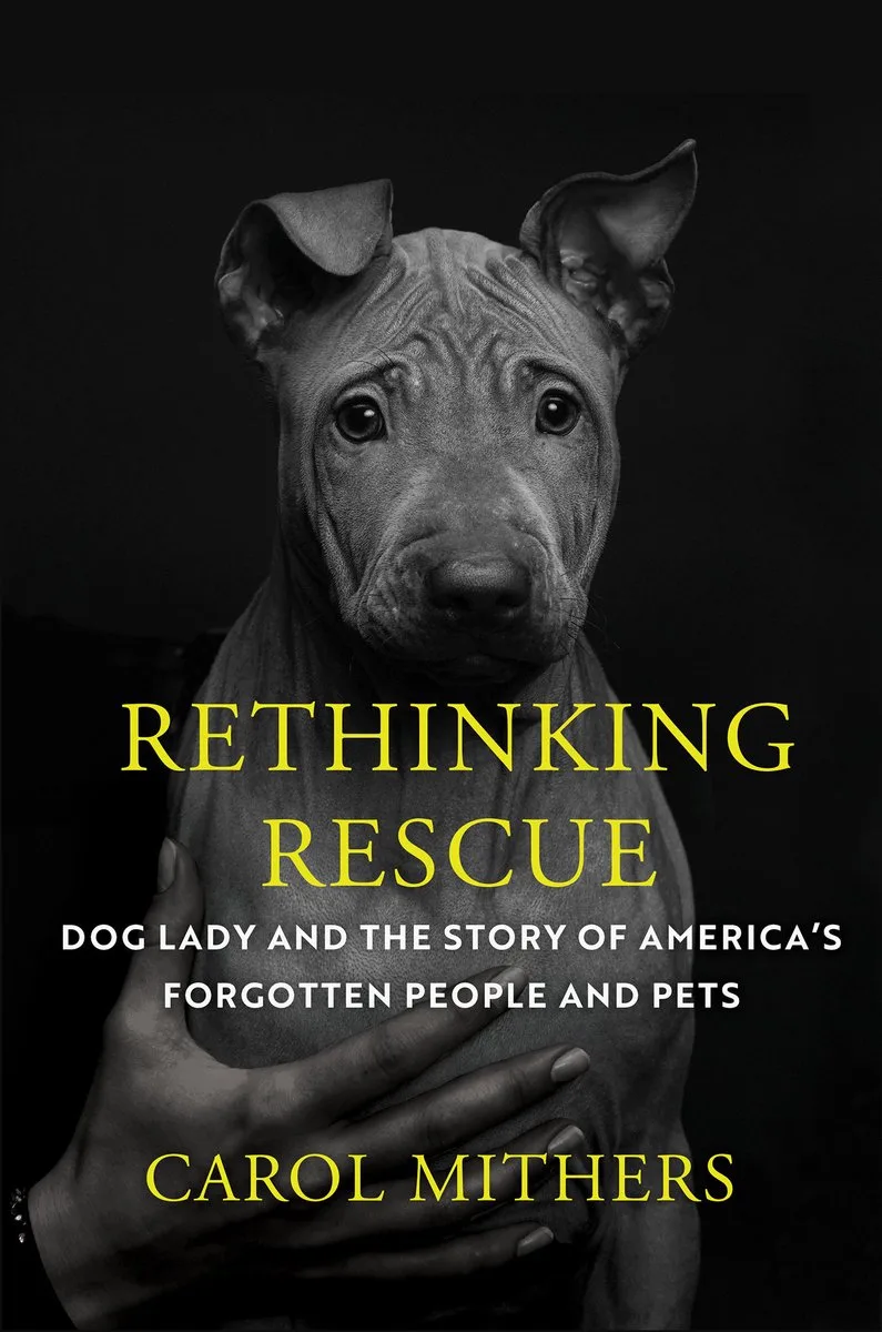 Rethinking Rescue fra Counterpoint – billede af bogen