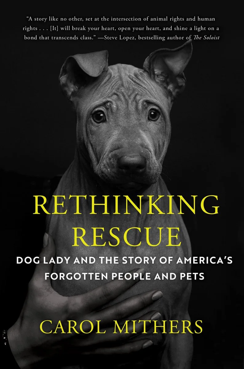 Rethinking Rescue von Counterpoint – Buchfoto