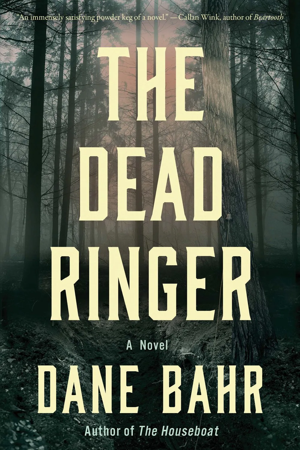 The Dead Ringer by Counterpoint – book photo