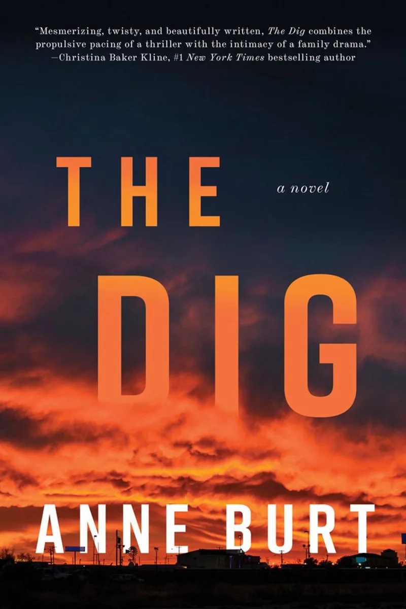 The Dig von Counterpoint – Buchfoto
