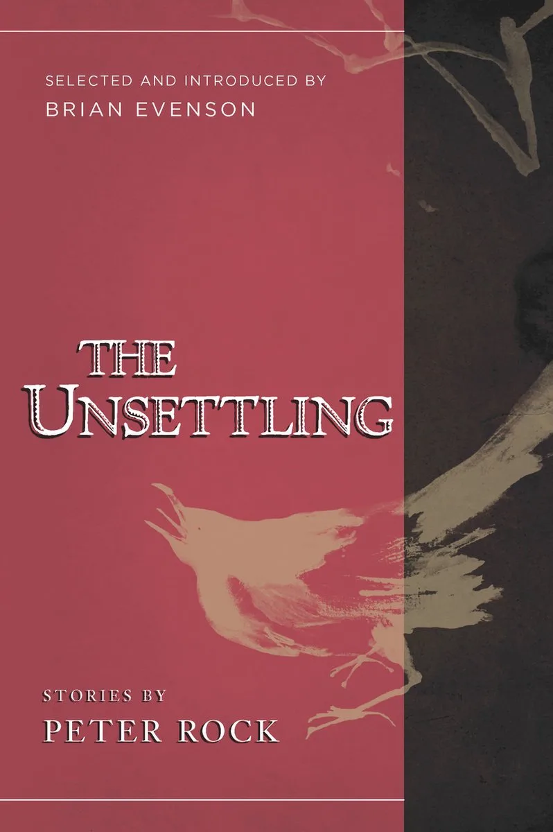 The Unsettling von Counterpoint – Buchfoto