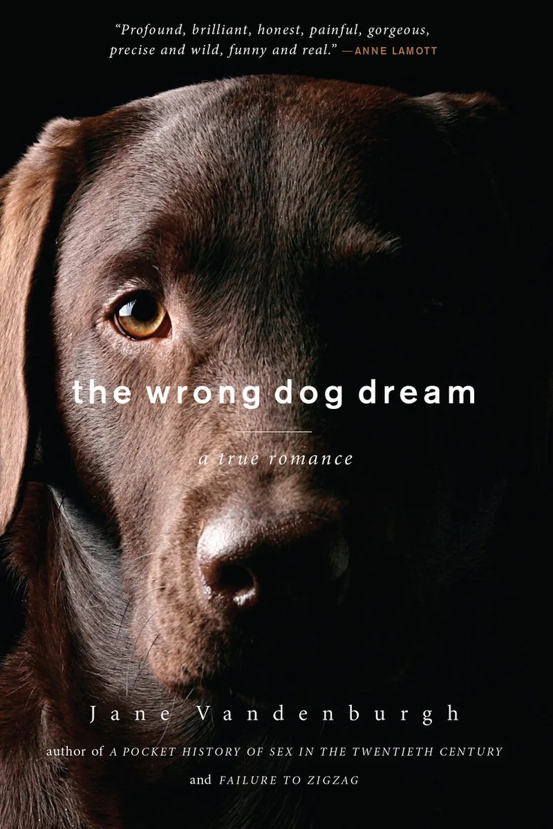 The Wrong Dog Dream fra Counterpoint – billede af bogen