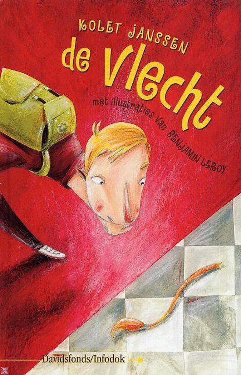 De vlecht von Davidsfonds – Buchfoto