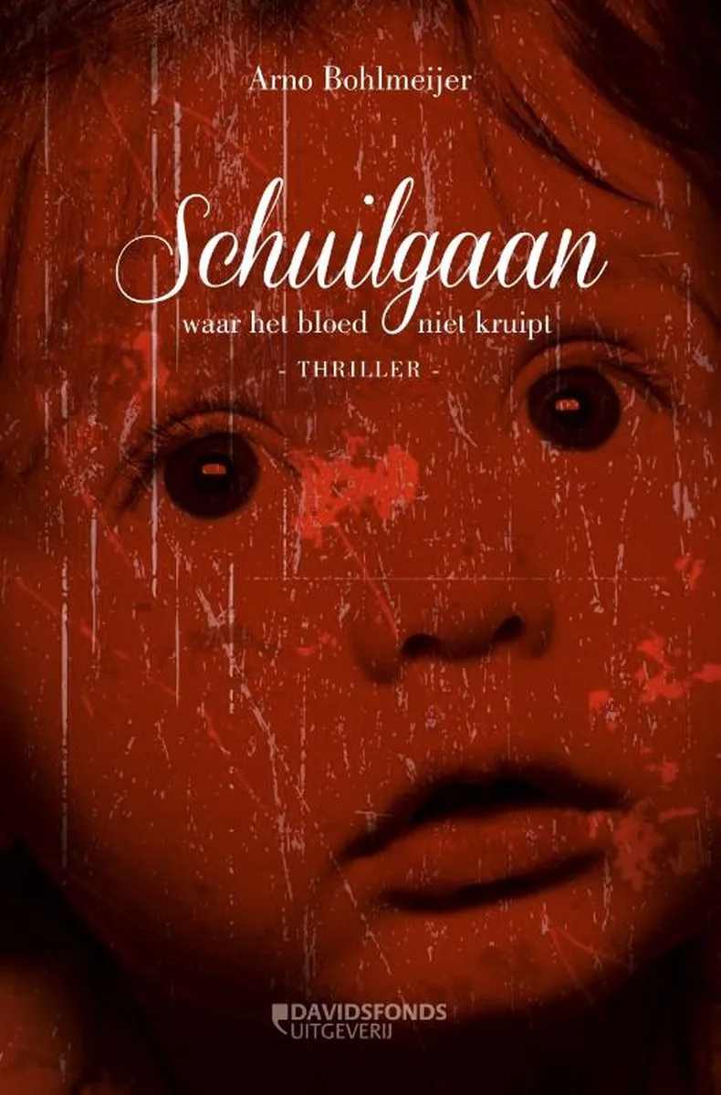 Schuilgaan by Davidsfonds – book photo
