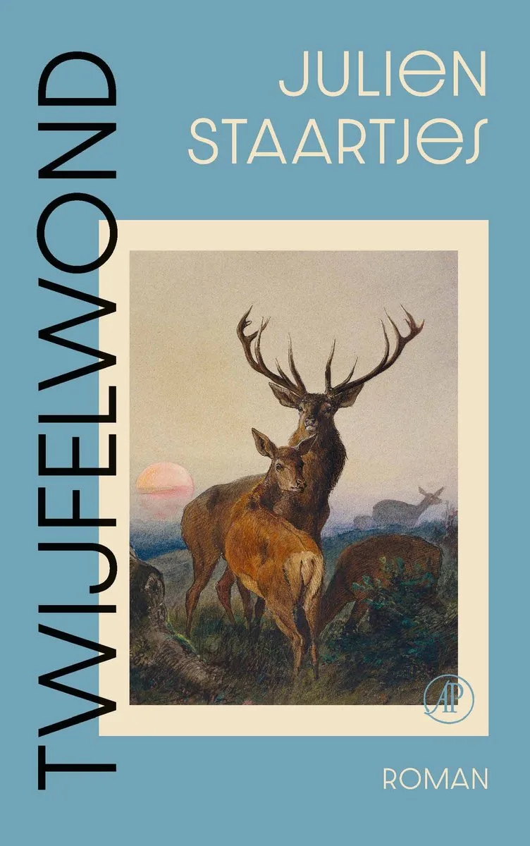 Twijfelwond von De Arbeiderspers – Buchfoto