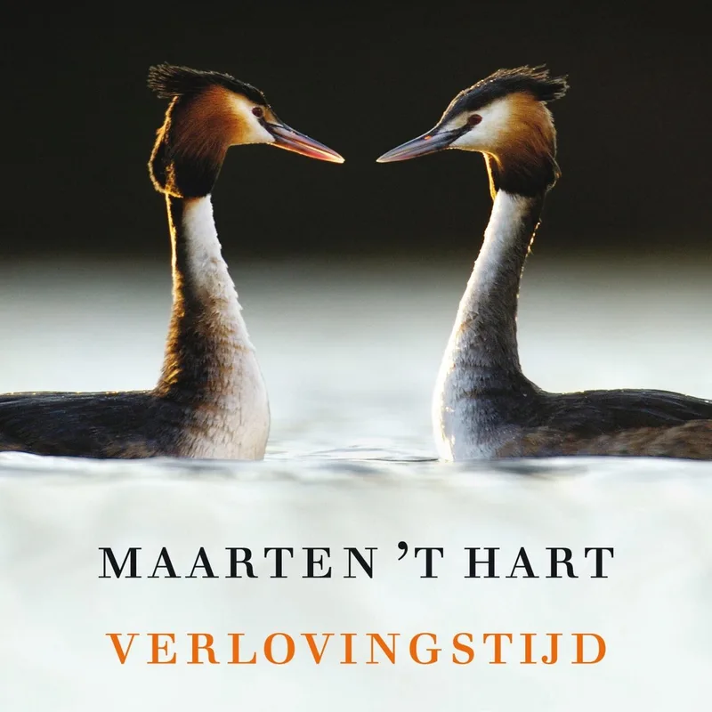 Verlovingstijd von De Arbeiderspers – Buchfoto