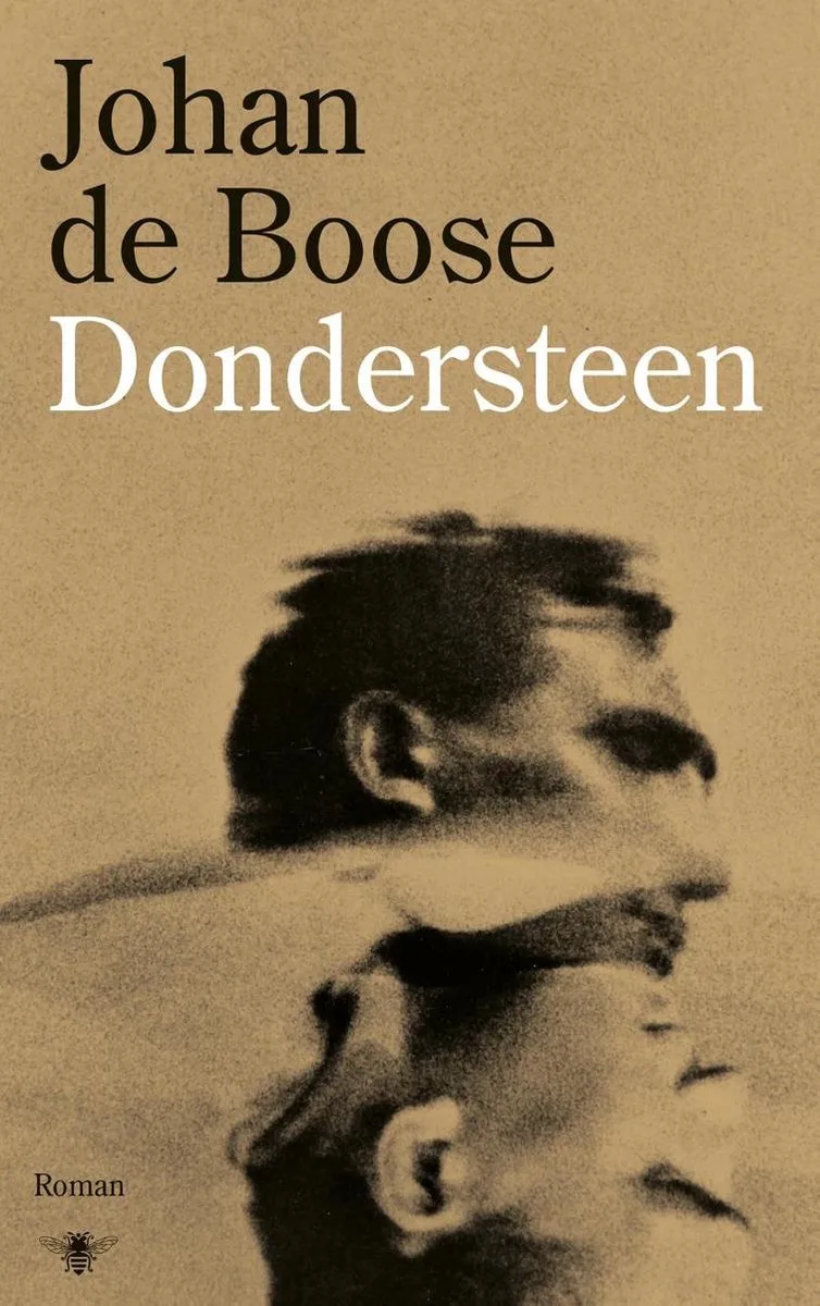 Dondersteen fra De Bezige Bij – billede af bogen