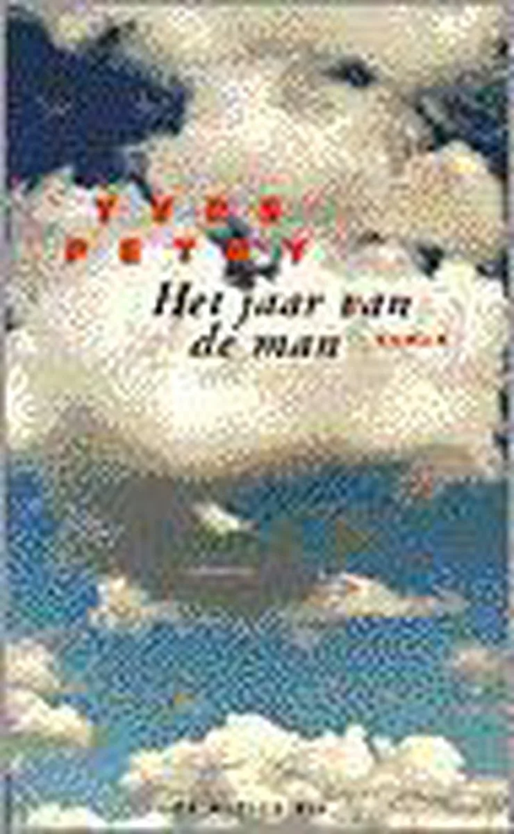 Het jaar van de man von De Bezige Bij – Buchfoto