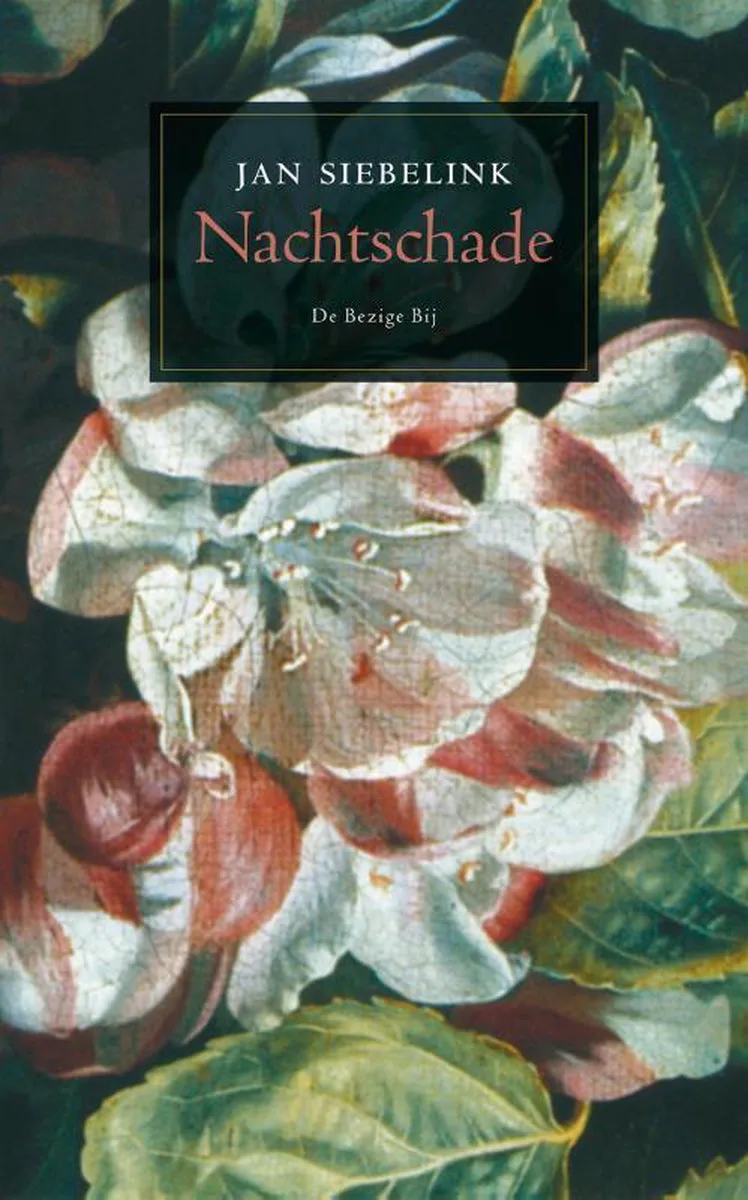 Nachtschade von De Bezige Bij – Buchfoto