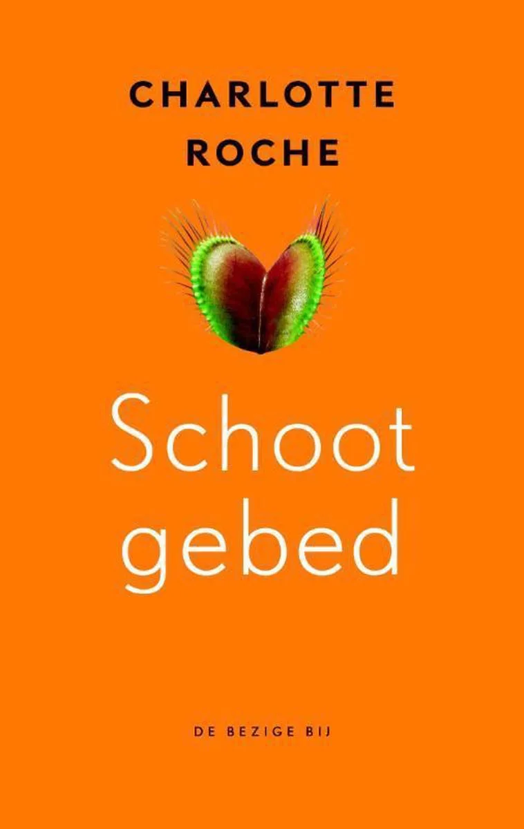Sunset fra De Bezige Bij – billede af bogen