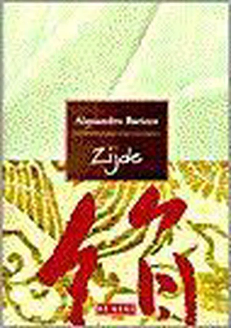 Zijde von De Bezige Bij – Buchfoto
