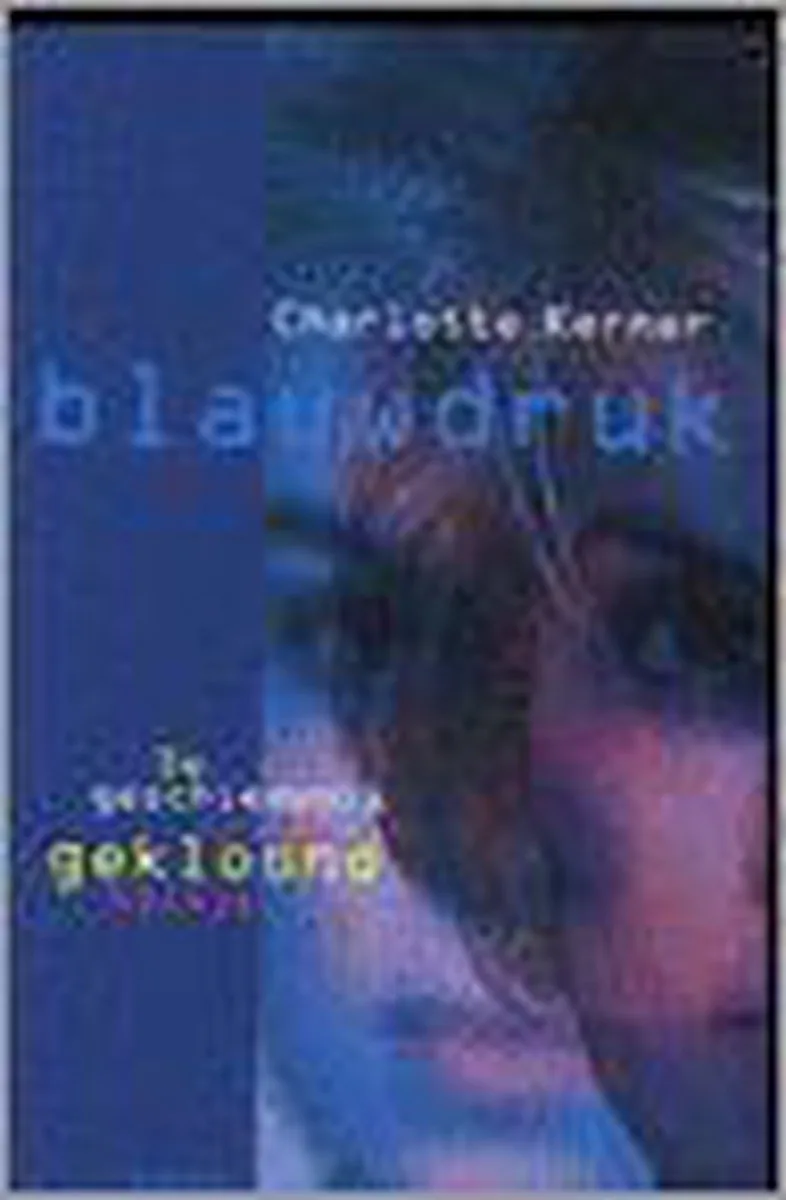 Blauwdruk von De Fontein – Buchfoto