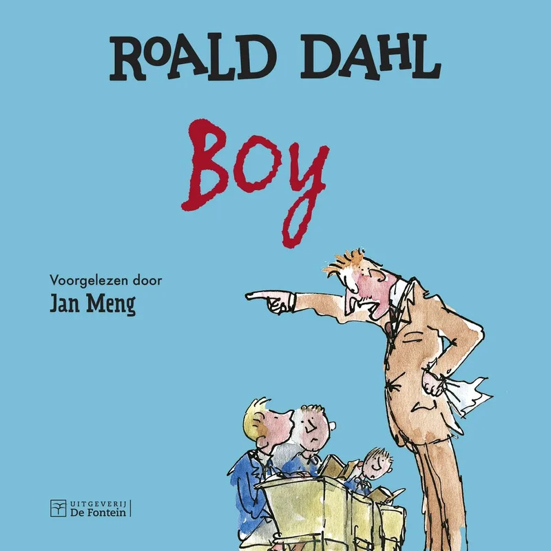 BOY fra De Fontein – billede af bogen