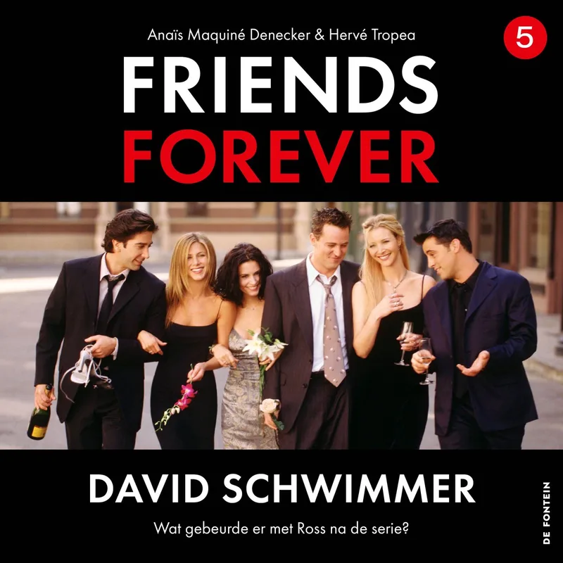 David Schwimmer von De Fontein – Buchfoto