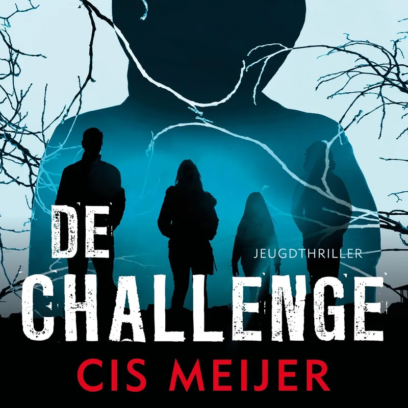 De challenge fra De Fontein – billede af bogen