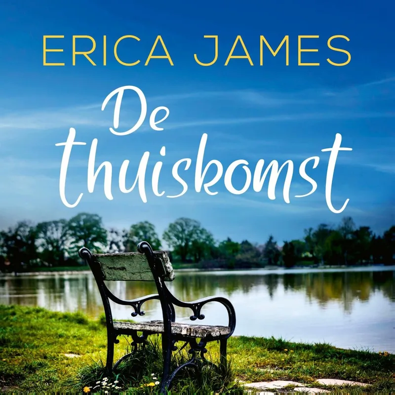 De thuiskomst fra De Fontein – billede af bogen