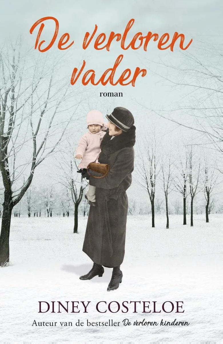 De verloren vader von De Fontein – Buchfoto