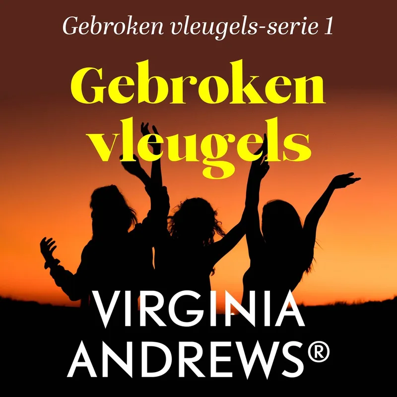 Gebroken vleugels von De Fontein – Buchfoto