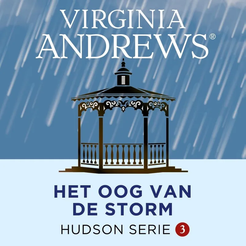 Het oog van de storm von De Fontein – Buchfoto