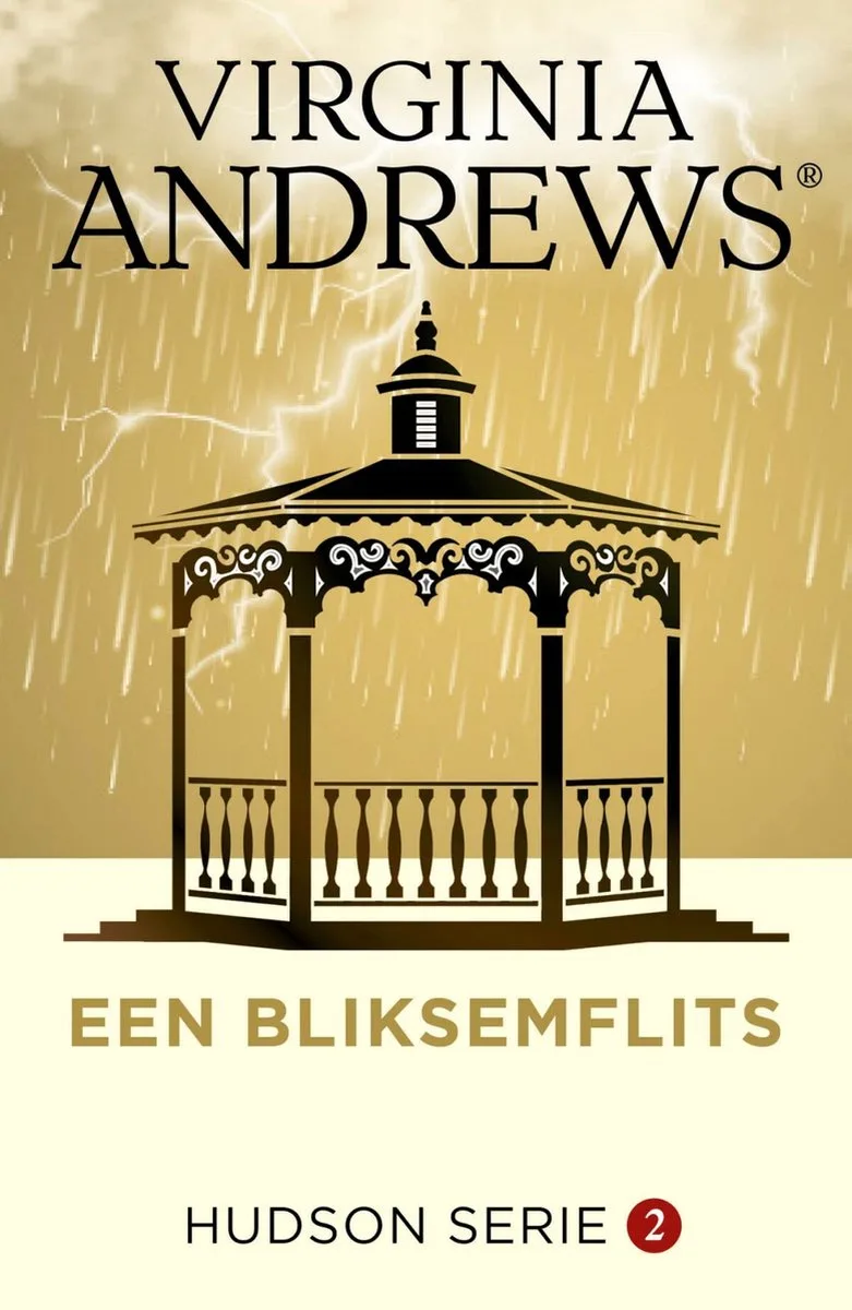 Hudson 2 - Een bliksemflits von De Fontein – Buchfoto
