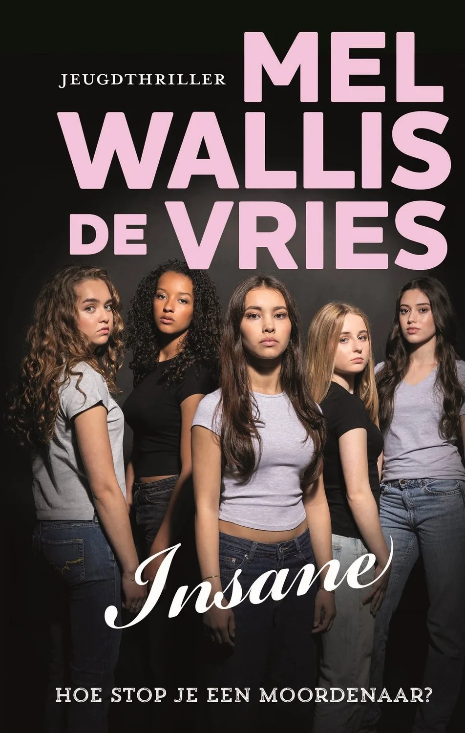 Insane von De Fontein – Buchfoto