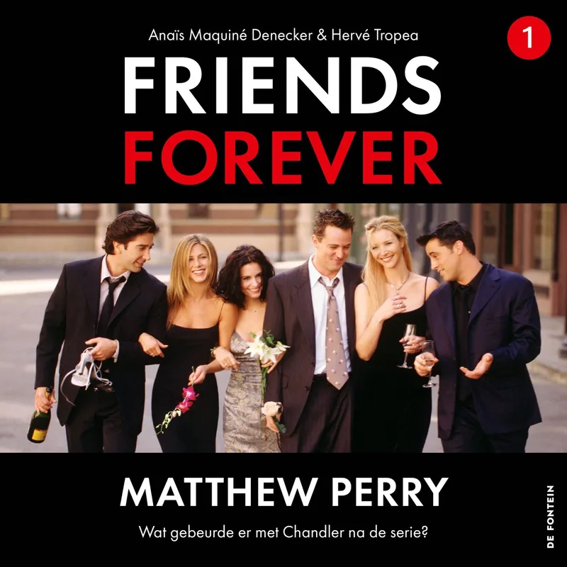 Matthew Perry von De Fontein – Buchfoto