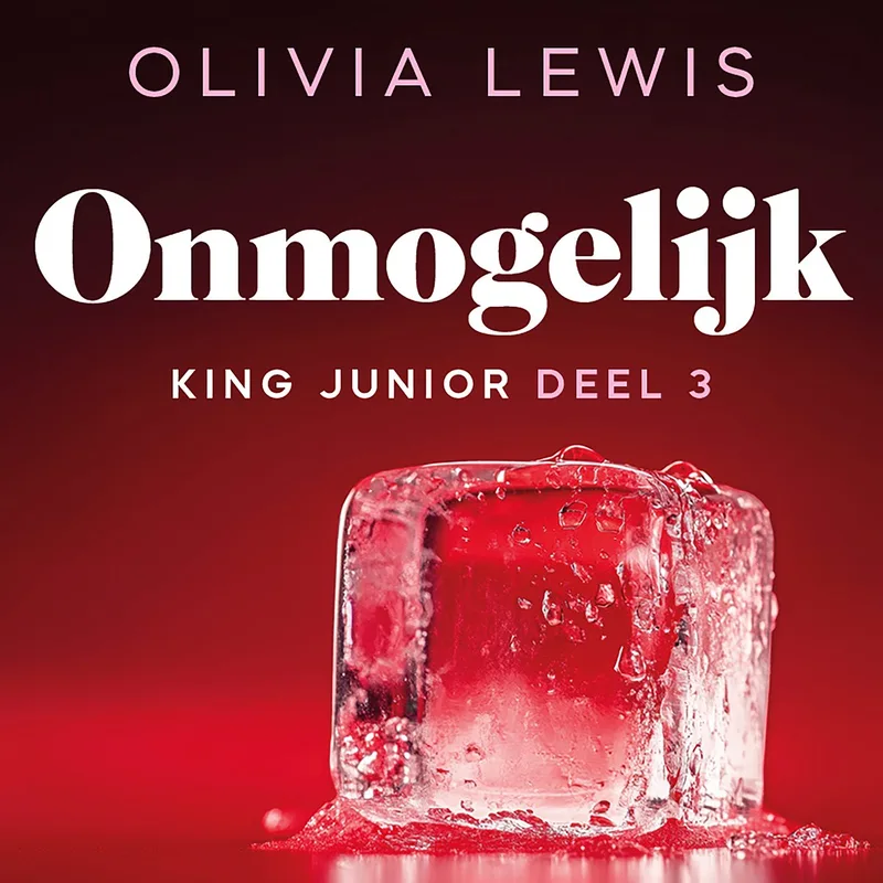 Onmogelijk von De Fontein – Buchfoto