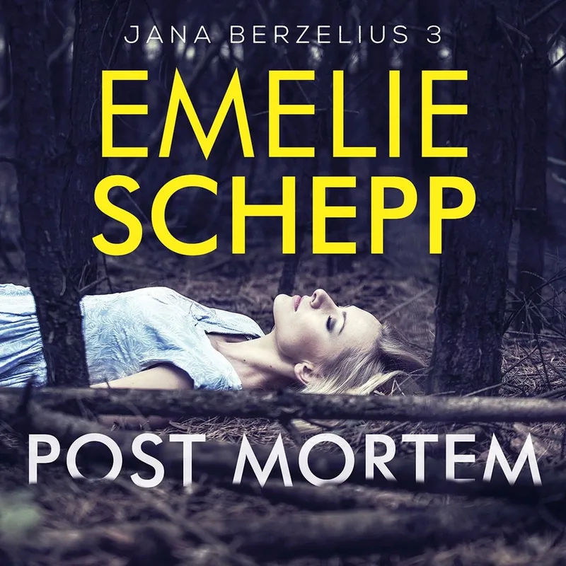 Post mortem de De Fontein – photo du livre